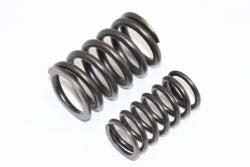 Valve Spring Set (FJ20E / FJ20ET)