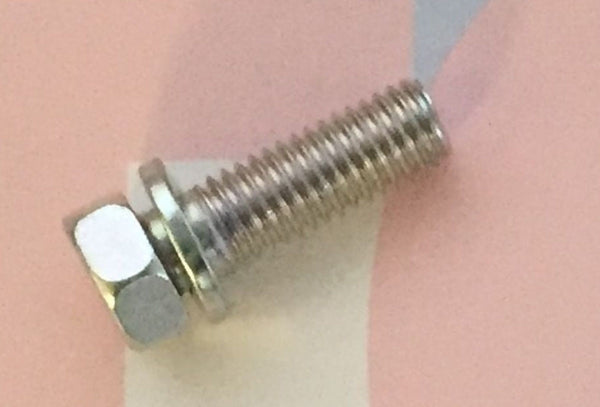 OEM R200 Differential Cover Bolt
