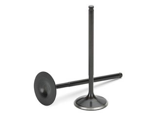 Intake Valves (RB25)