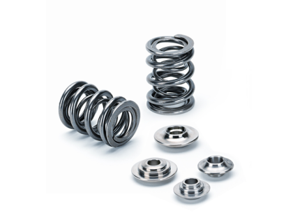 Valve Spring Kit (RB 25) DOHC 24V