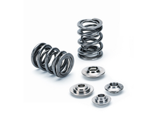 Beehive Valve Spring Kit (RB25) DOHC 24V NEO Version