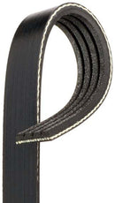 Alternator Belt 1991-98 (240SX) KA24DE-1