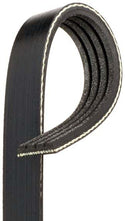 Alternator Belt 1991-98 (240SX) KA24DE