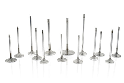 Exhaust Valve Set (RB26)