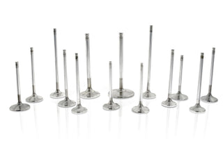 Exhaust Valve Set (RB26)