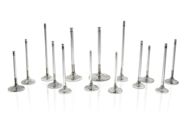 Intake Valve Set (RB26)