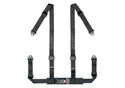 Corbeau 4-Point Harness